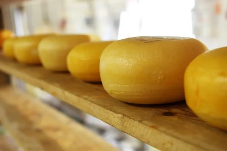 Formaggio, basta caccia alle streghe! Le virtù dei prodotti caseari
