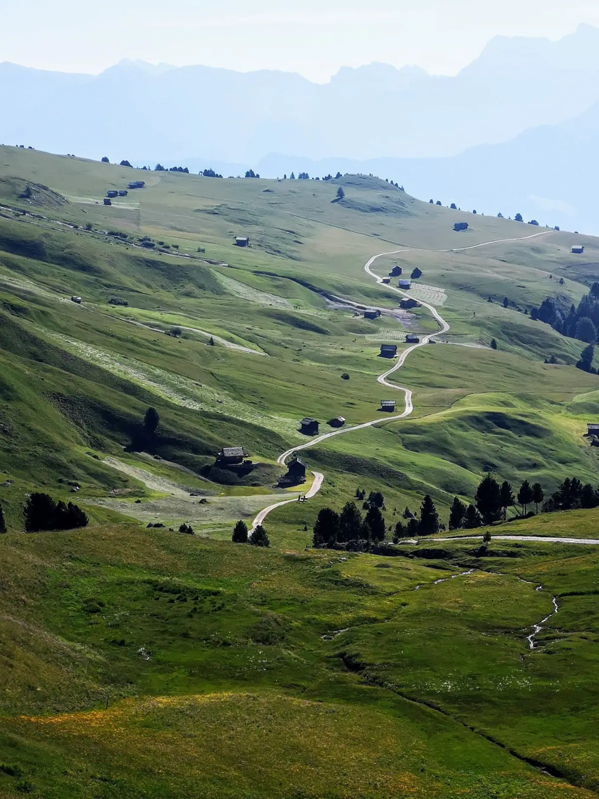 case campagna