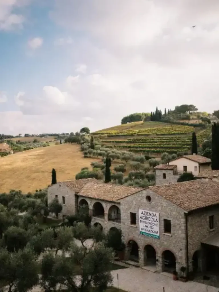 Azienda Agricola:Un Universo di Tradizione, Lavoro e Innovazione