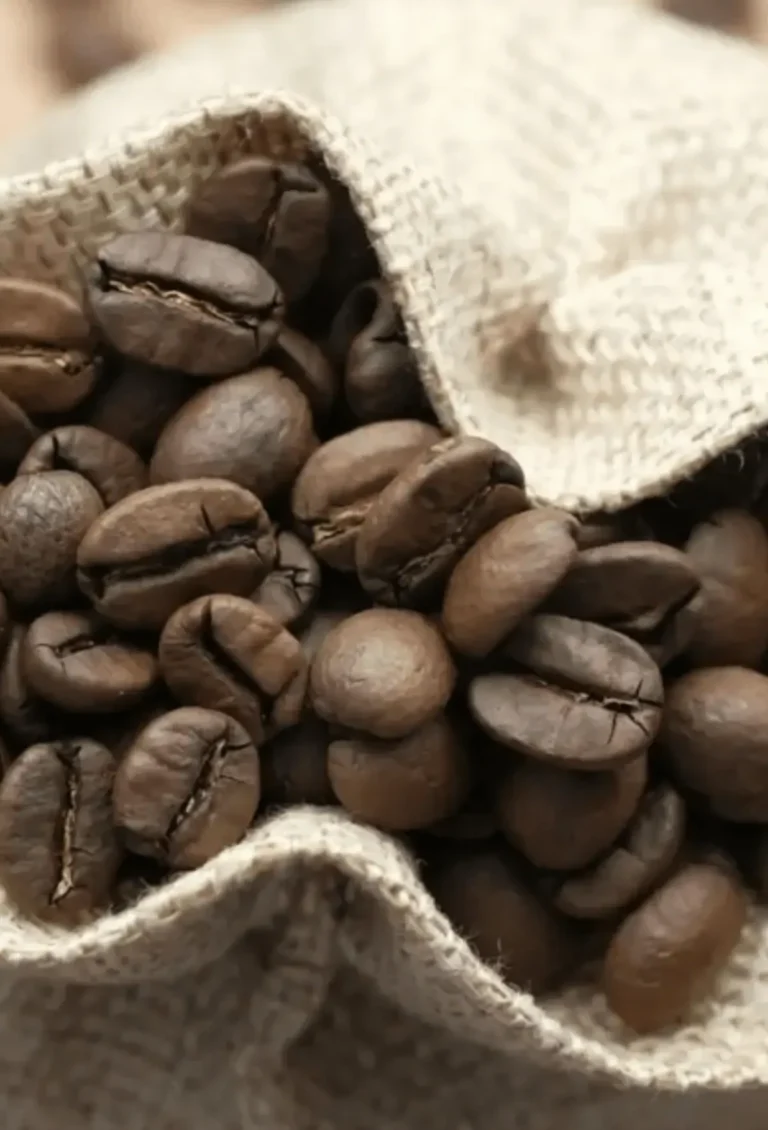 Perché Scegliere il Caffè Biologico: Benefici per Salute, Ambiente e Gusto