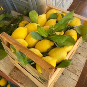 limoni di Rocca Imperiale  1,50 €  kg