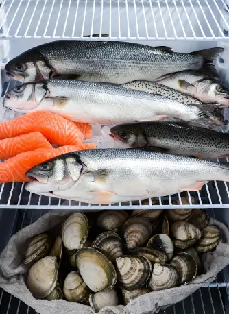 Pesce fresco in frigo casa