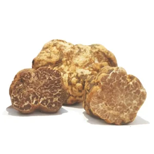 Tartufo Bianchetto