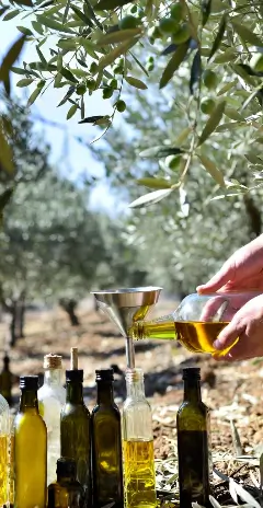 Mano che versa Olio biologico nelle bottiglie