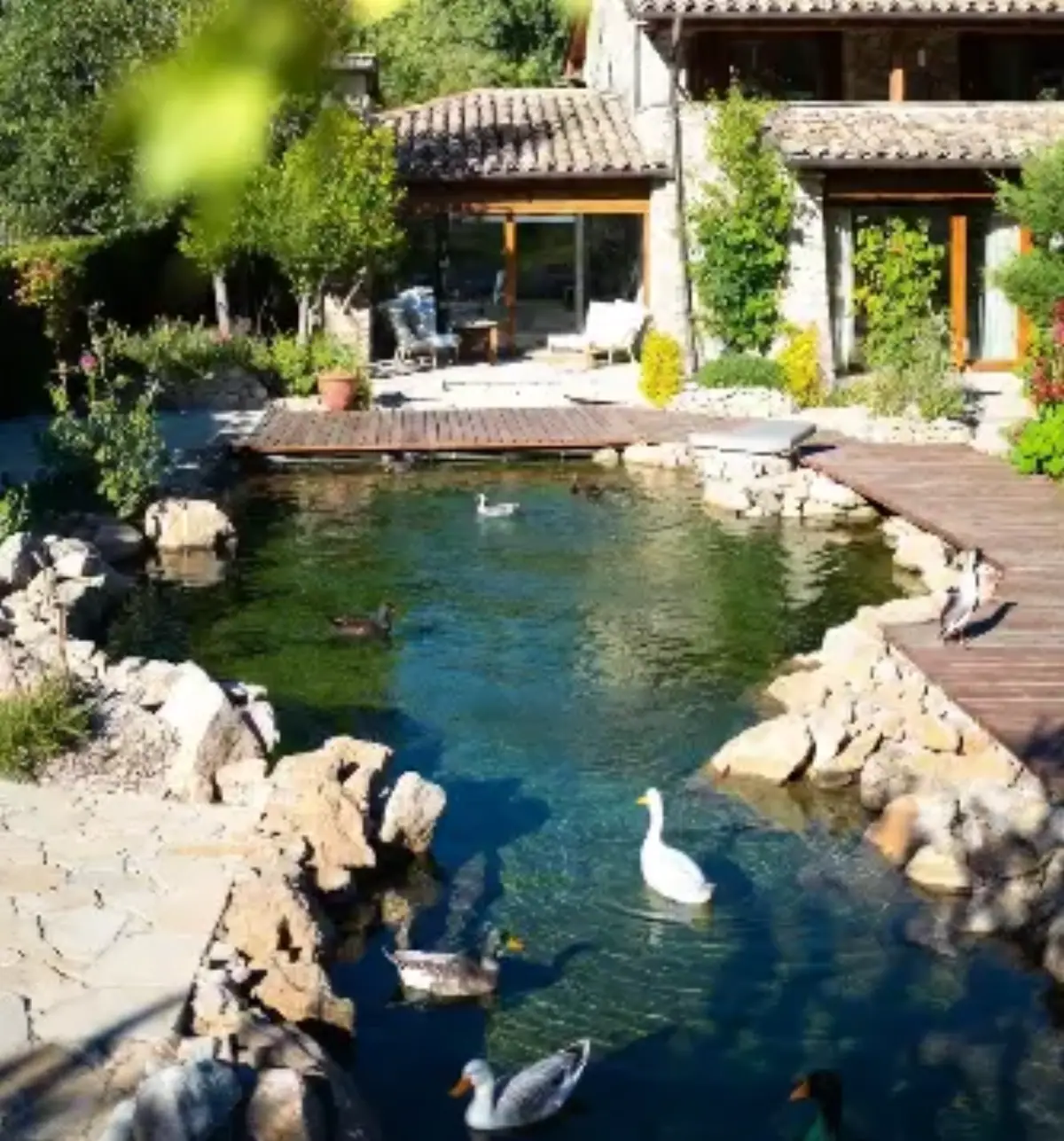 Agriturismo con piscina biodinamica