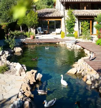 Agriturismo con piscina biodinamica