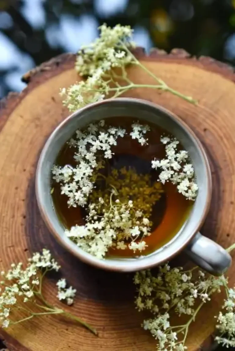 Tisana al Sambuco: Rimedi Naturali per Rafforzare le Difese e Combattere i Mali di Stagione