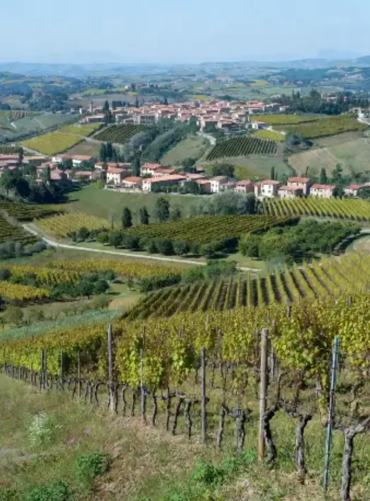 Borgo con sfondo vigne