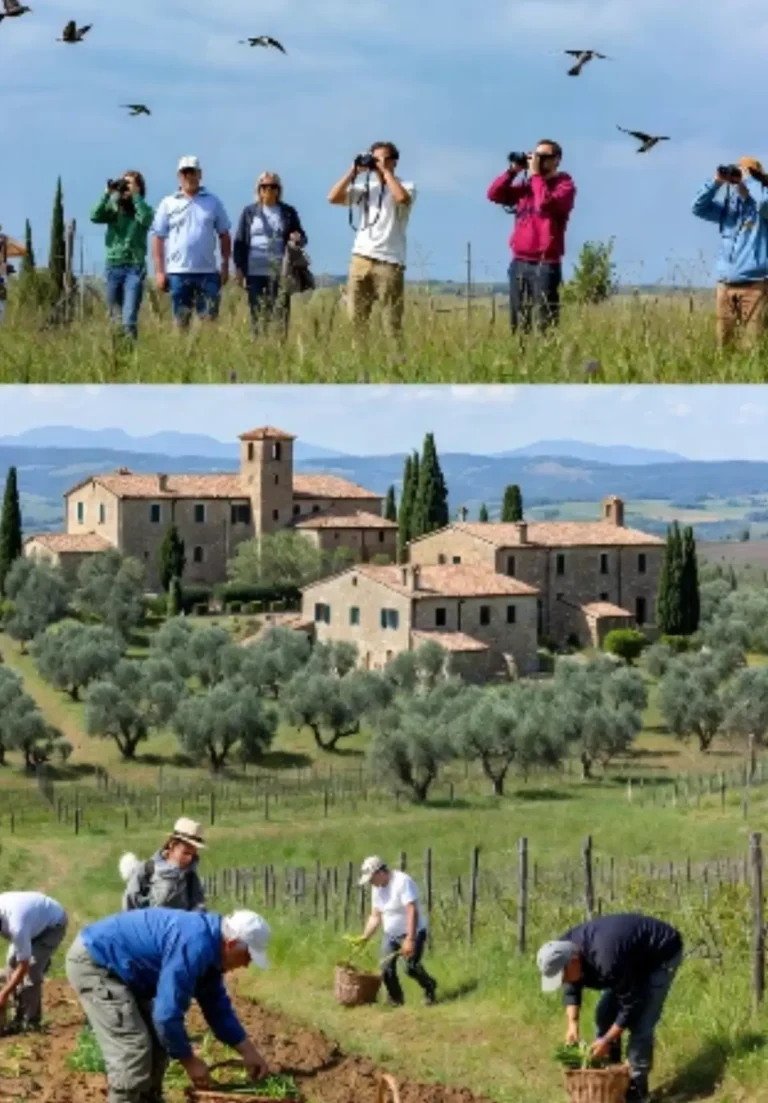 Turismo Enogastronomico 2026: Viaggi Lenti tra Natura, Bio e Tradizioni Rurali in Italia