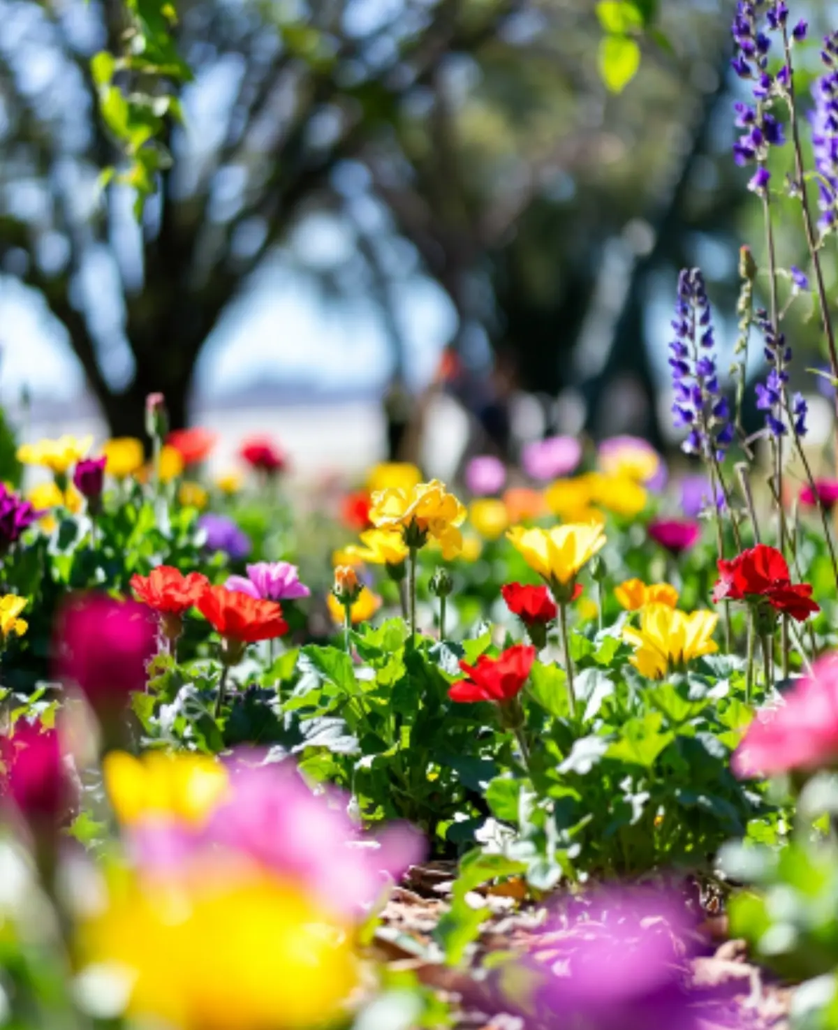 Queste immagini rappresentano fiori e piante aromatiche (come bergamotto, erbe spontanee o infiorescenze usate in infusi) che evocano gli ingredienti naturali tipici dei liquori artigianali italiani trattati nell’articolo
