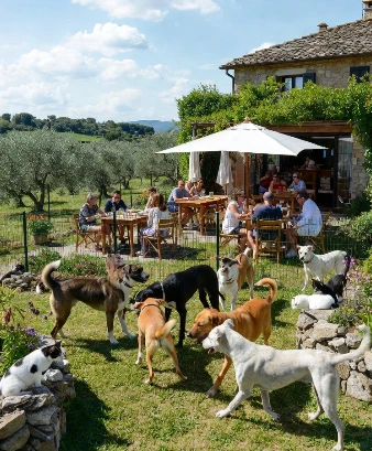 Agriturismo con persone che mangiano e vicino animali che giocano in giardino recintato