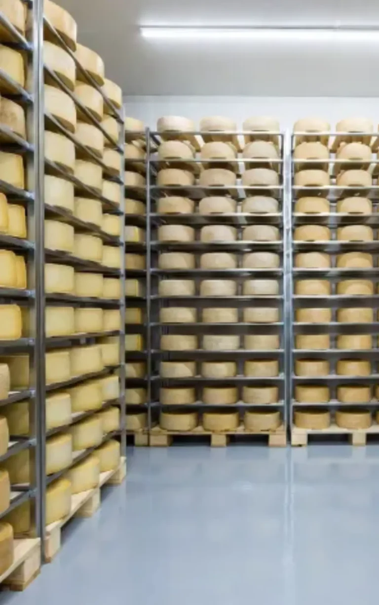 Formaggi Artigianali Italiani: Scopri Come Nascono nei Caseifici di paese