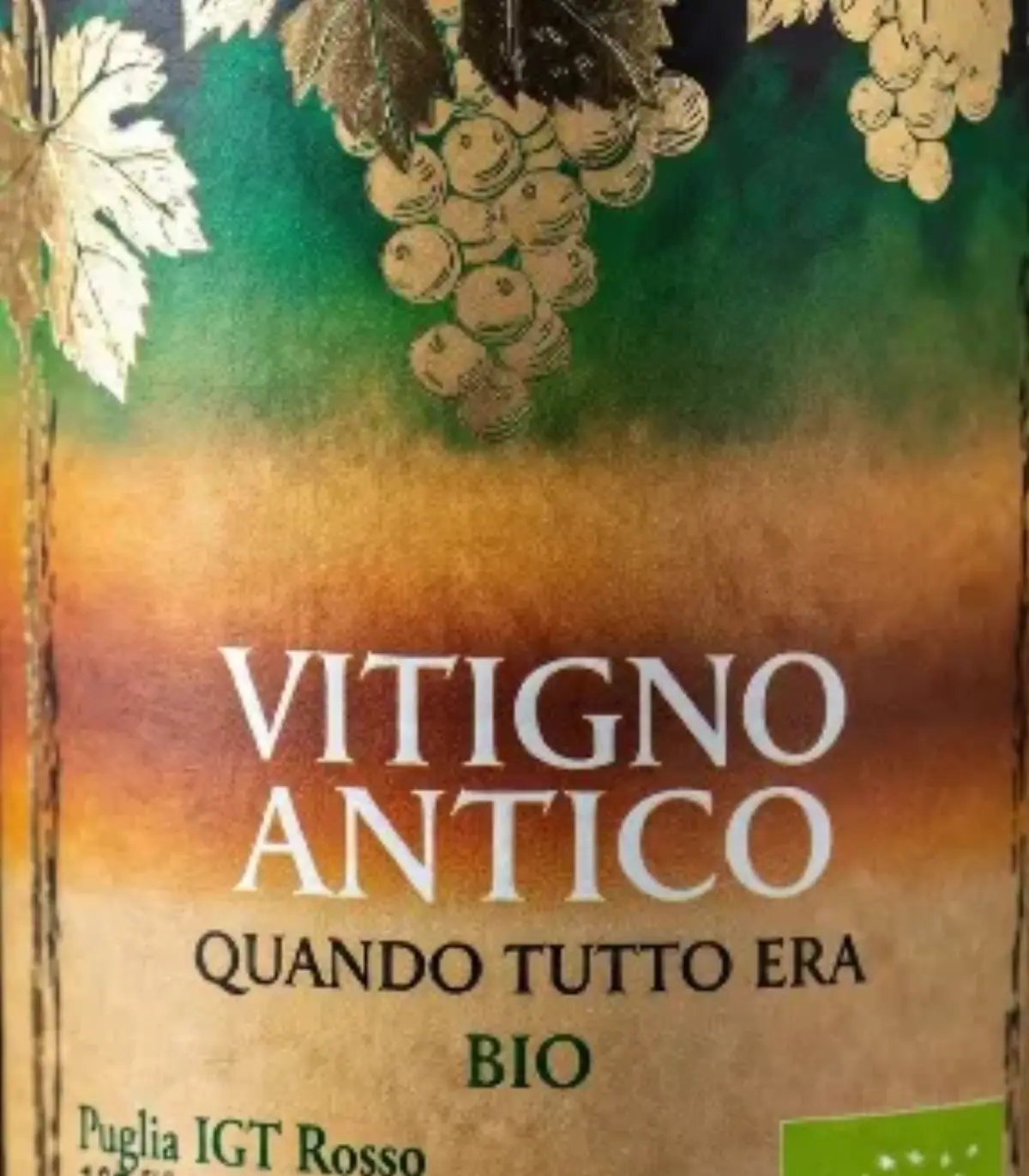 Etichetta: Titolo: "VITIGNO ANTICO" in bianco grande, centrato in alto. Sottotitolo: "Quando tutto era bio" in corsivo dorato sotto. "Puglia IGT Rosso " 100% Bio" in verde scuro, con annata "2025" e "14% Vol.".
