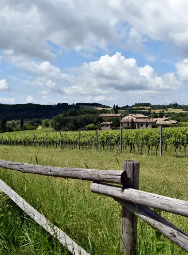 Paesaggio idilliaco di un agriturismo italiano con vigneti rigogliosi in primo piano, antica casa colonica in pietra con tetto in cotto sullo sfondo, colline verdi e cielo azzurro con nuvole. Immagine che rappresenta l’autenticità della vita rurale italiana e il turismo agricolo.