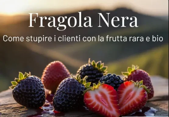 Fragole nere mature su un tavolo di legno con sfondo di colline al tramonto. Immagine di copertina dell'articolo "Fragola Nera: come stupire i clienti con la frutta rara e bio"