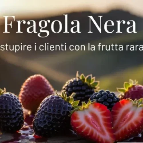 Fragole nere mature su un tavolo di legno con sfondo di colline al tramonto. Immagine di copertina dell'articolo "Fragola Nera: come stupire i clienti con la frutta rara e bio"